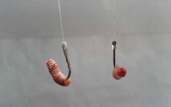 无钩调漂法怎么操作?