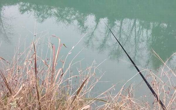 钓鲫鱼怎么调漂?