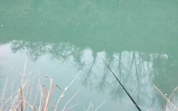 春天钓鲫鱼用什么线组?