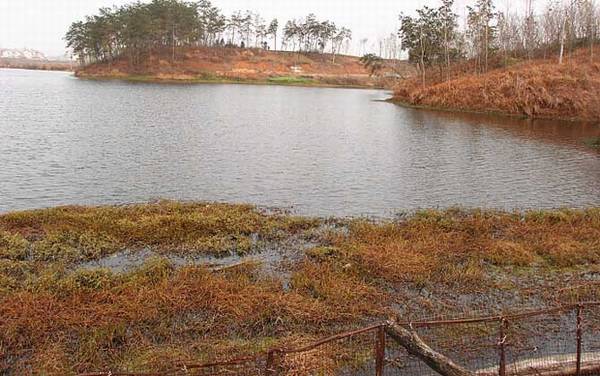 冬季野钓实用技巧大全