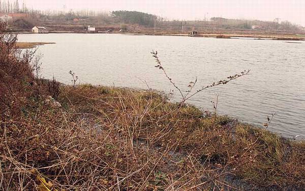 冬季野钓实用技巧大全