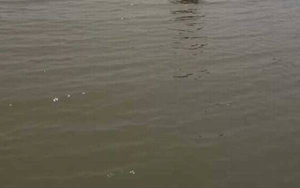 冬季水库钓鱼实用技巧