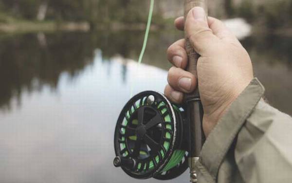 夏天钓鱼怎么选钓位?