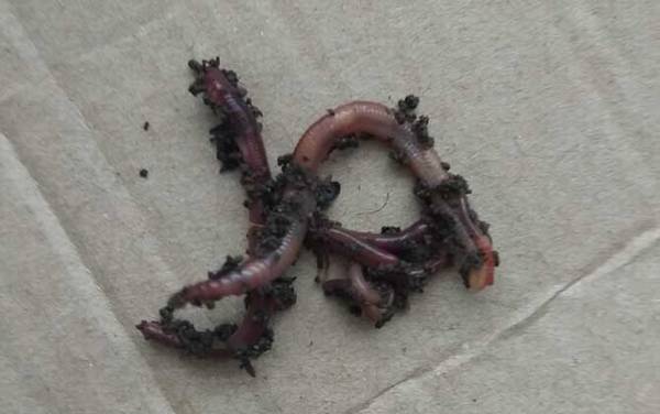 ����������������죿