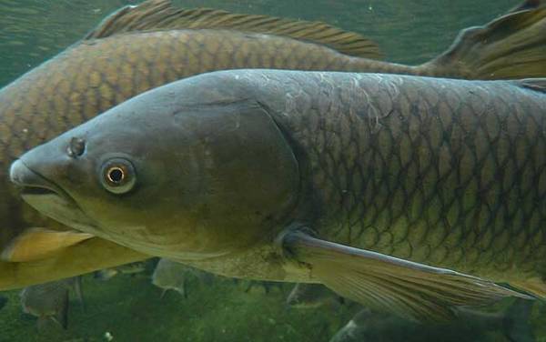 �������ǵ��׻��ǵ�����