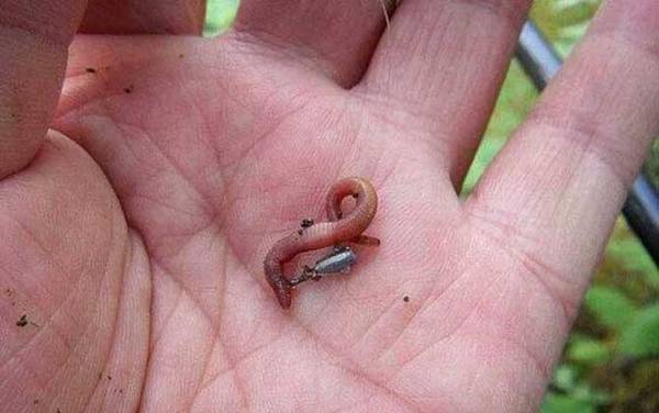 ��������ô�ҹ�����ȷ��