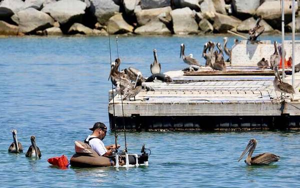 矶钓怎么找底最简单?