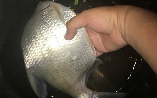 ����ʲô������õ���