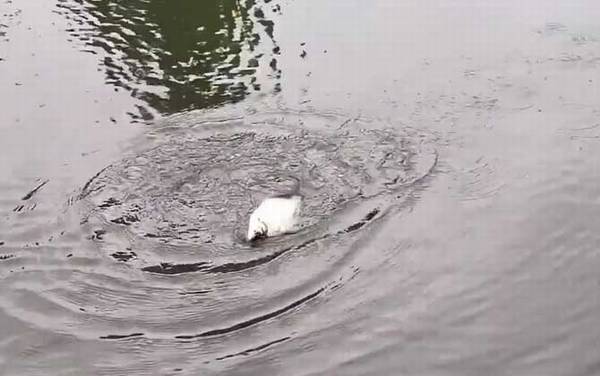 ����ʲô������õ���