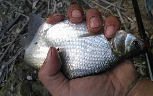 ����ʲô������õ���