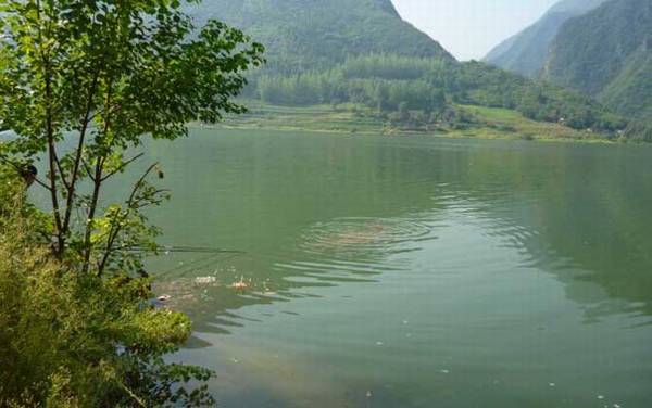 钓翘嘴鱼实用技巧大全