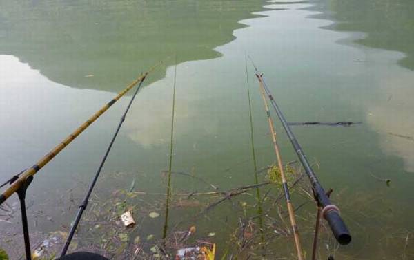 钓翘嘴鱼实用技巧大全