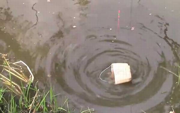 �������������Ҫ��÷��ѣ�