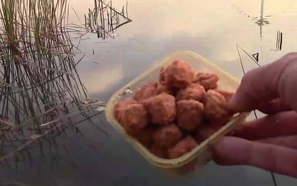 初冬钓鱼提前多长时间打窝?