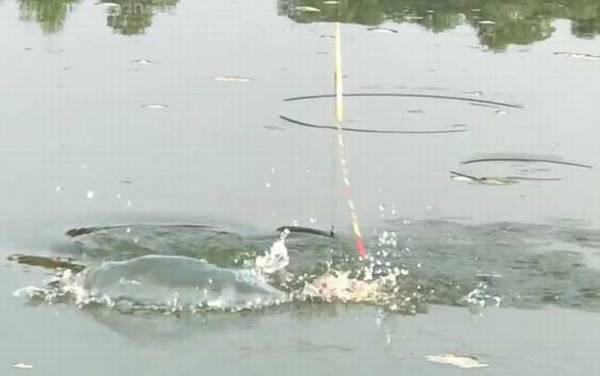 冬季钓鱼可以钓浮吗?