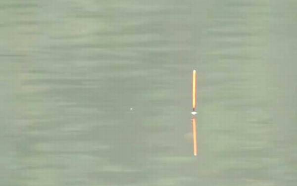 野钓调漂的正确方法