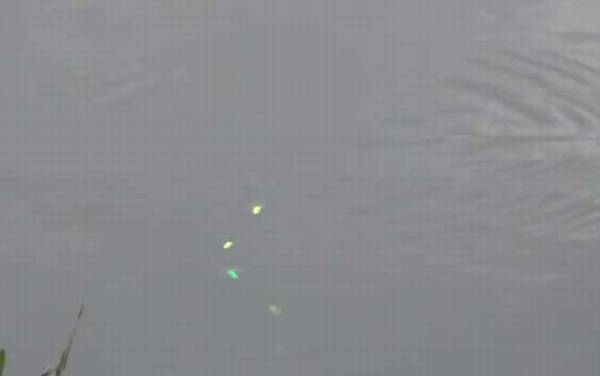 十二月钓鱼技巧和方法