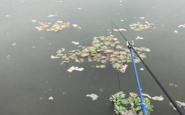 十二月钓鱼钓位怎么选择才好?