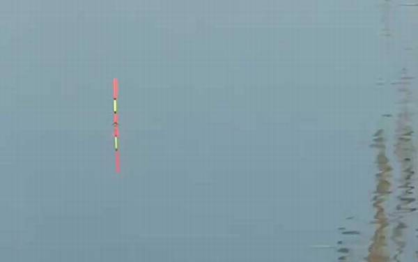 十二月份钓鱼什么时间段好?