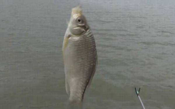 ʮ���·����ϻ��ܵ�����