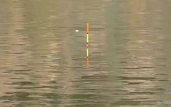 ʮ���·����ϻ��ܵ�����