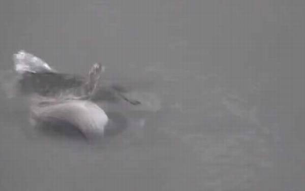 ʮ���·����ϻ��ܵ�����