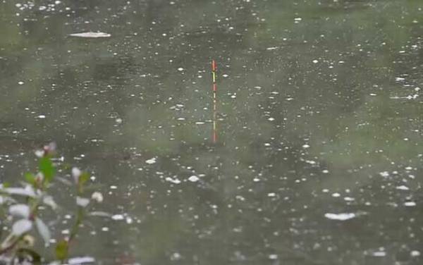 ��Ư����ȷ������ע������