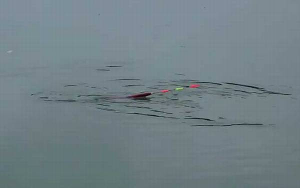 ������ļ��ɺͷ���