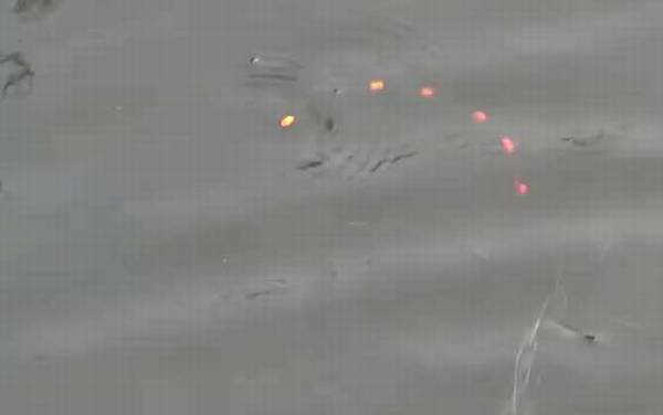 ����Ư��Ҫ��Ư��