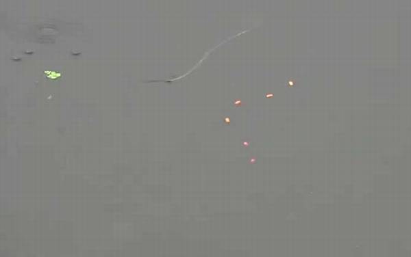 ����Ư��Ҫ��Ư��