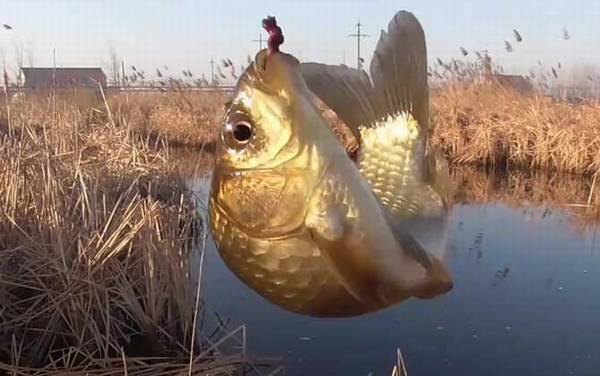 三月份钓鱼水深度多少合适?