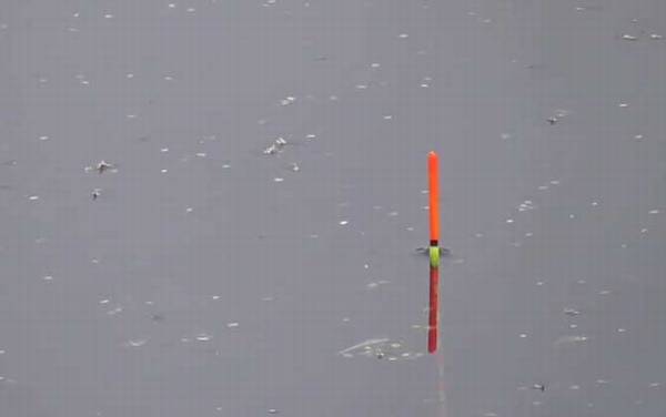 四月钓鱼最佳时间是什么时候?