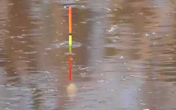 四月钓鱼最佳时间是什么时候?