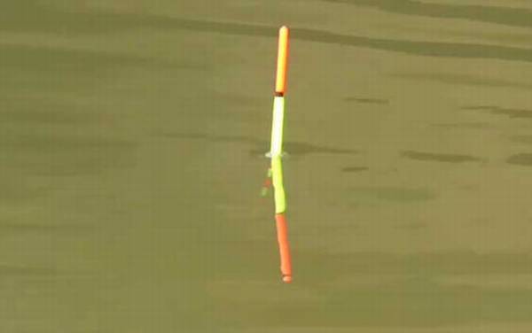 四月钓鱼最佳时间是什么时候?