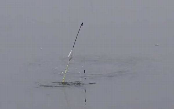 四月份钓鱼怎样选钓点打窝?