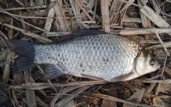 四月份雨天钓鱼好钓吗?