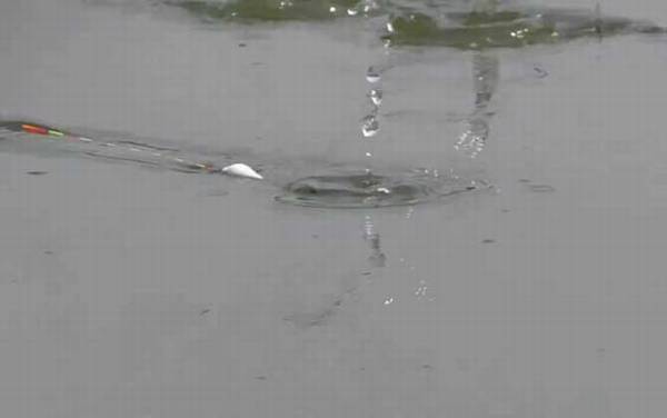 ���ĵ�����׻��ǵ�����