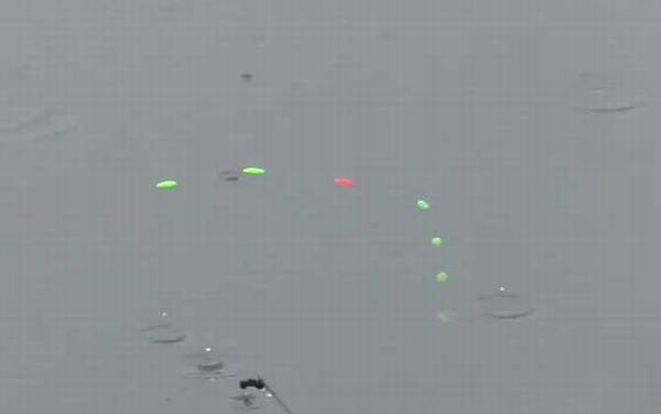 初夏钓鱼钓多深合适?