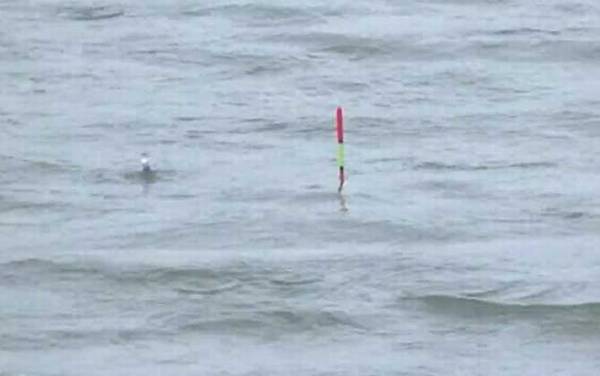 ���ĵ���ʲô����ã�