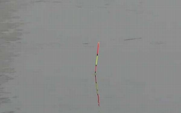 �ļ�������׻��ǵ�����