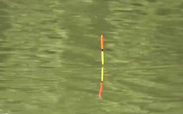 �ļ�������׻��ǵ�����