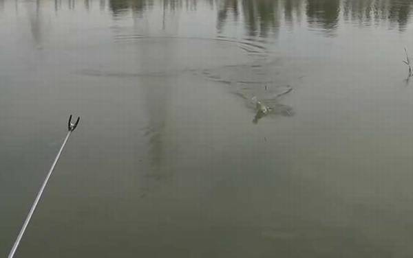 �ļ�������׻��ǵ�����