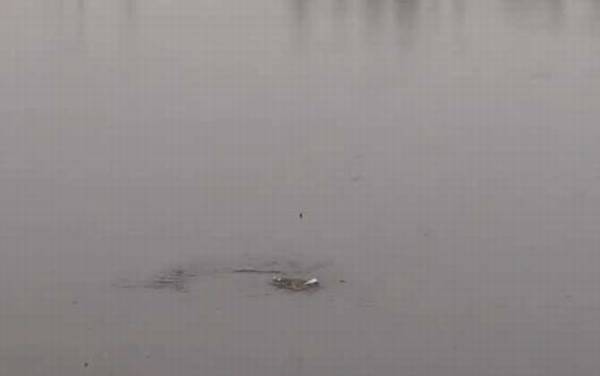 夏季钓鱼技巧口诀大全