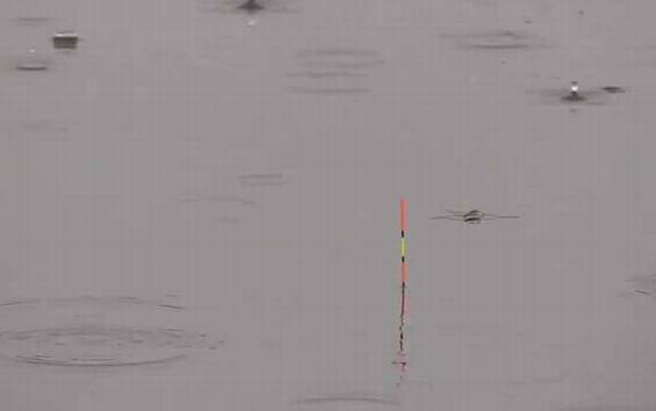 夏季钓鱼技巧口诀大全