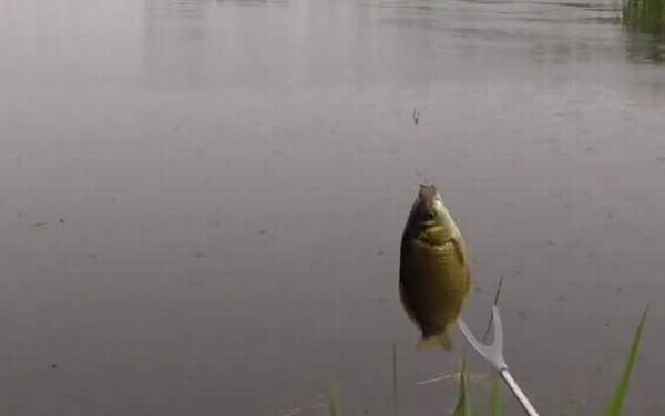 夏季钓鱼技巧口诀大全