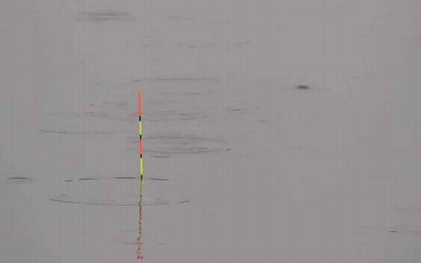 夏季钓鱼技巧口诀大全