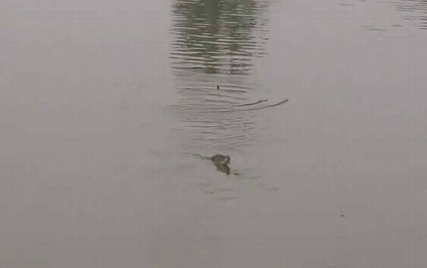 ���µ������ǵ�ǳ��