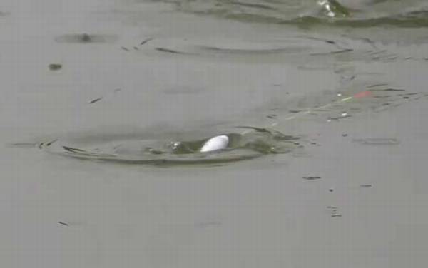 ���µ������ǵ�ǳ��