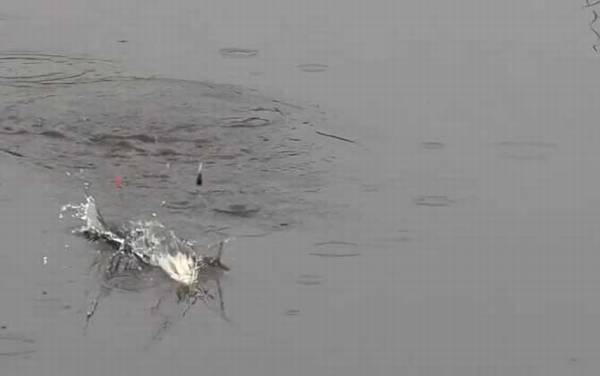 ���µ������ʱ����ʲôʱ��