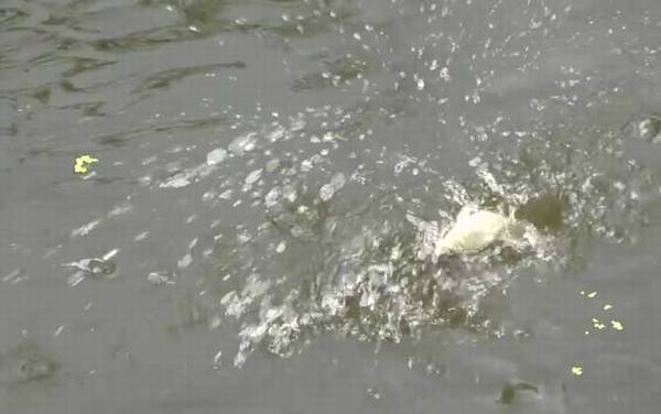 初秋下雨天气钓鱼好钓吗?